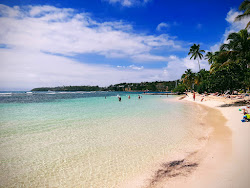 The Beach of Caravelle'in fotoğrafı imkanlar alanı