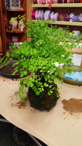 Garden Center «Wisconsin Garden & Pet Supply», reviews and photos, 8520 W North Ave, Wauwatosa, WI 53226, USA