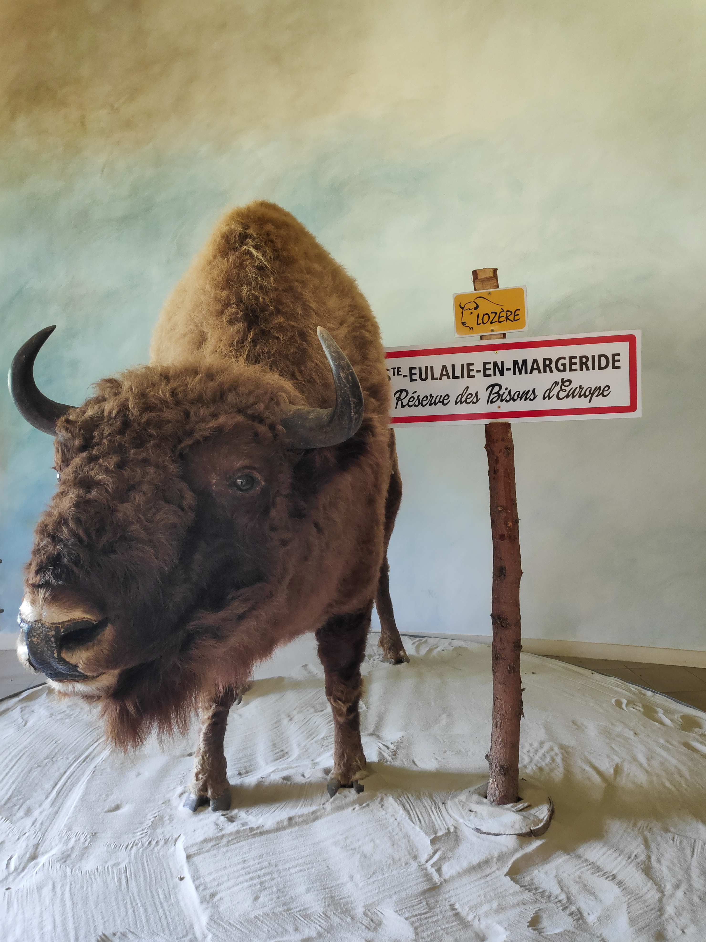 Photo n° 1 de l'avis de Laura.i fait le 02/08/2021 à 17:01