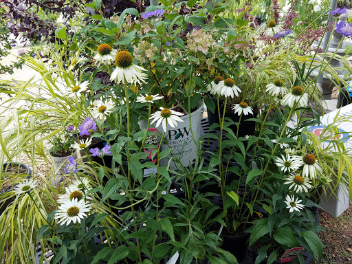 Landscaping Supply Store «Schroeder Material Inc», reviews and photos, 10800 SW Hwy, Worth, IL 60482, USA