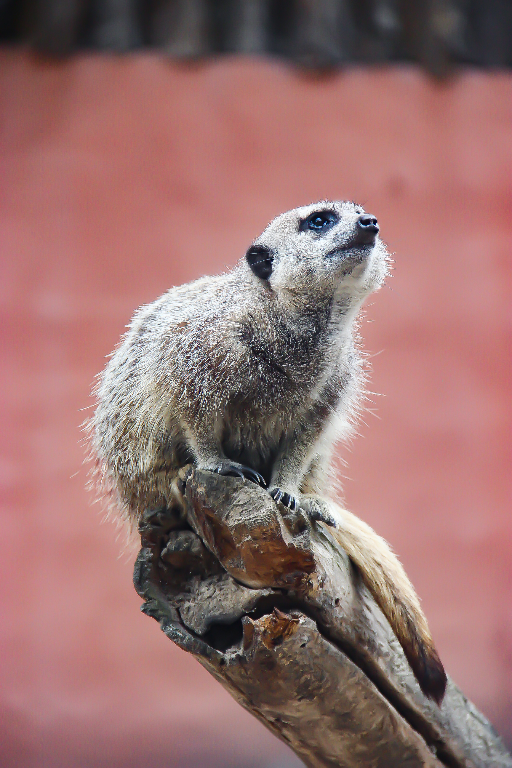 Photo n° 4 de l'avis de Cynthia.l fait le 21/07/2022 à 17:10