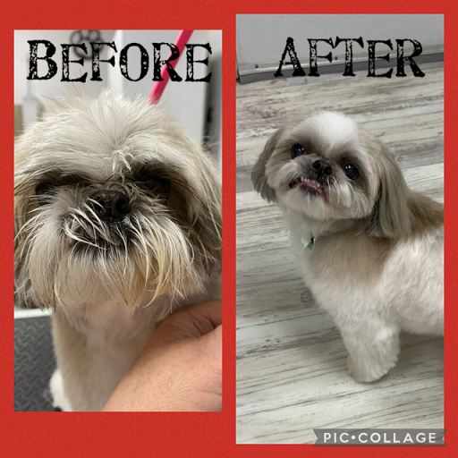 Pet Store «DipidyDawg Gourmet Dog Bakery & Boutique», reviews and photos, 21301 S Tamiami Trail Suite 430, Estero, FL 33928, USA