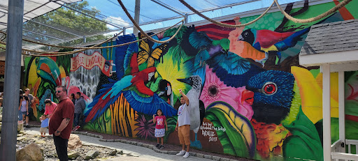 Childrens Farm «Best Long Island Pumpkin Picking», reviews and photos, 250 Old Country Rd, Melville, NY 11747, USA