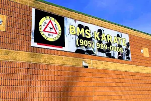 BMS Karate Keswick image
