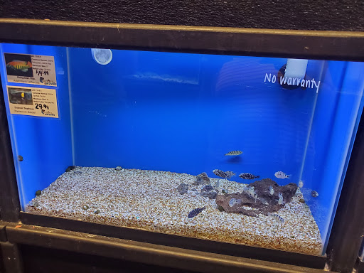 Pet Store «Woofs & Waves», reviews and photos, 5426 Arrowhead Pkwy E, Sioux Falls, SD 57110, USA