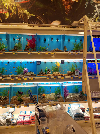 Pet Supply Store «PetSmart», reviews and photos, 351 N Frontage Rd, New London, CT 06320, USA