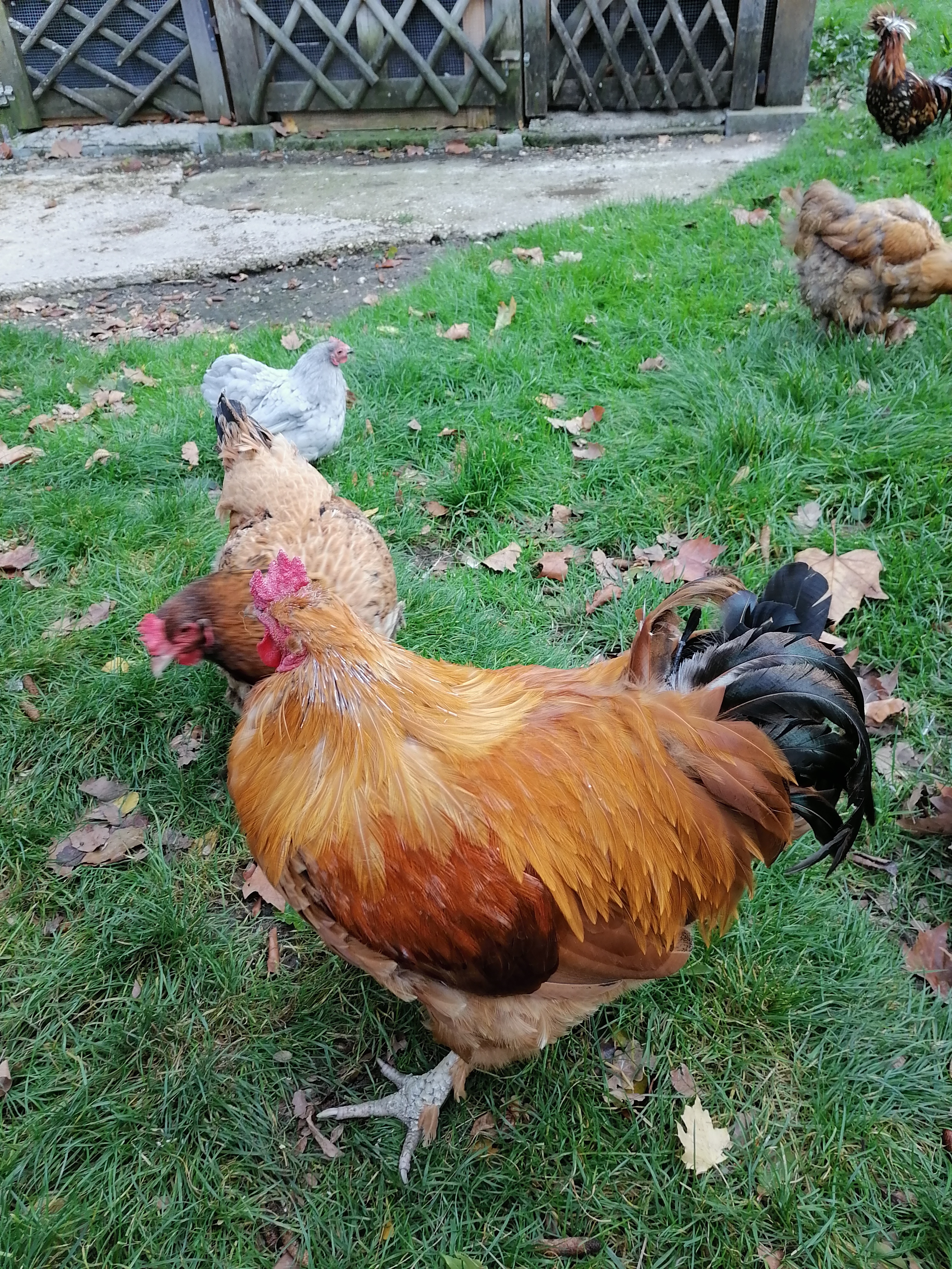 Photo n° 3 de l'avis de Pierre. fait le 26/10/2021 à 15:36