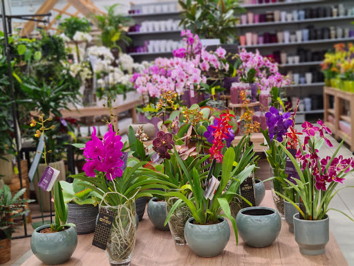 Geschäfte für künstliche Blumen Munich