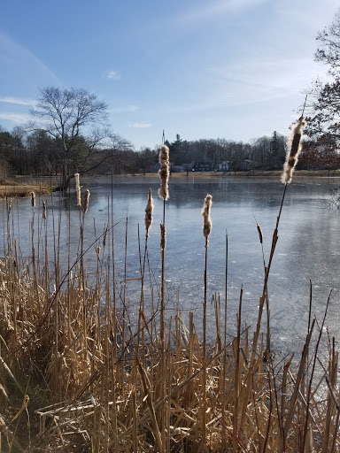 Tourist Attraction «Governor Ames Estate», reviews and photos, 35 Oliver St, North Easton, MA 02356, USA