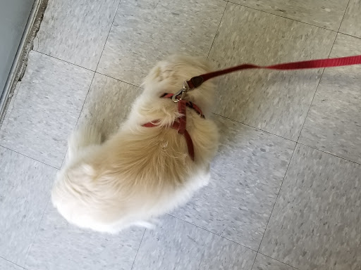 Pet Supply Store «Petco Animal Supplies», reviews and photos, 1111 US-46, Parsippany, NJ 07054, USA