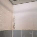 Photo n°1 de l'avis de Zanta.s fait le 31/08/2020 à 08:03 sur le  FF&E Hotel Dania à Fehmarn