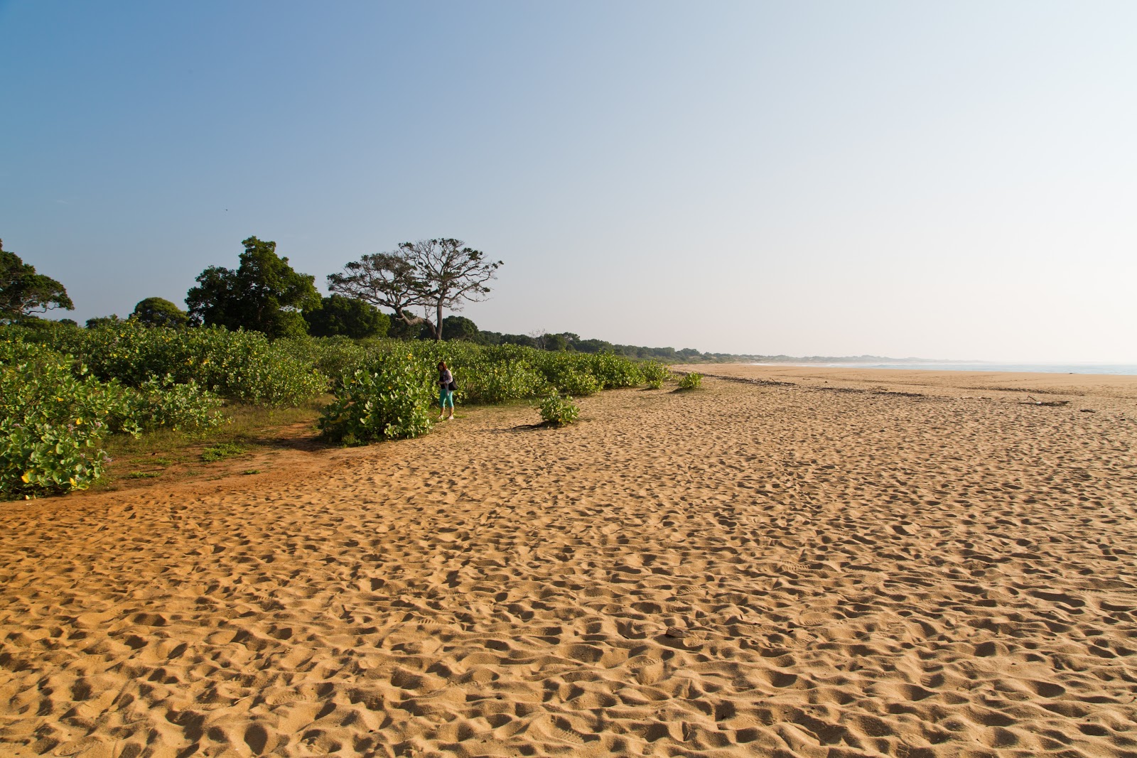 Fotografija Patanangala Beach divje območje