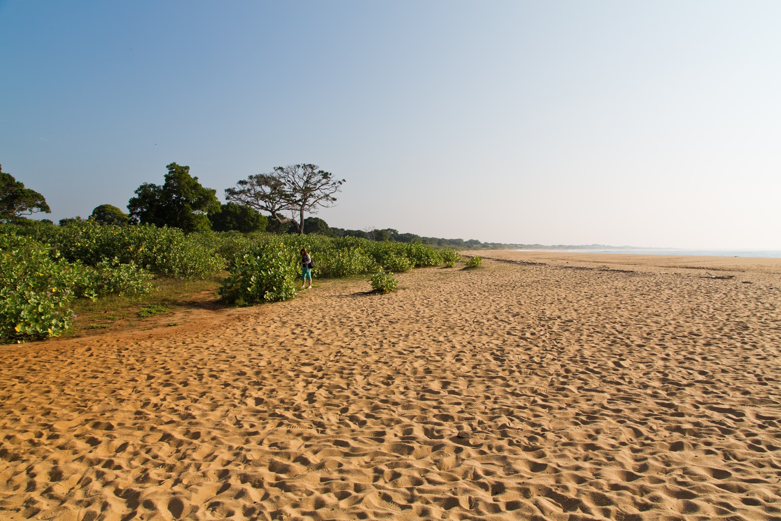 Patanangala Beach'in fotoğrafı doğal alan içinde bulunmaktadır