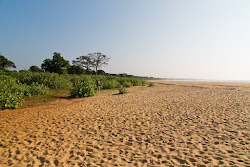 Patanangala Beach'in fotoğrafı doğal alan içinde bulunmaktadır
