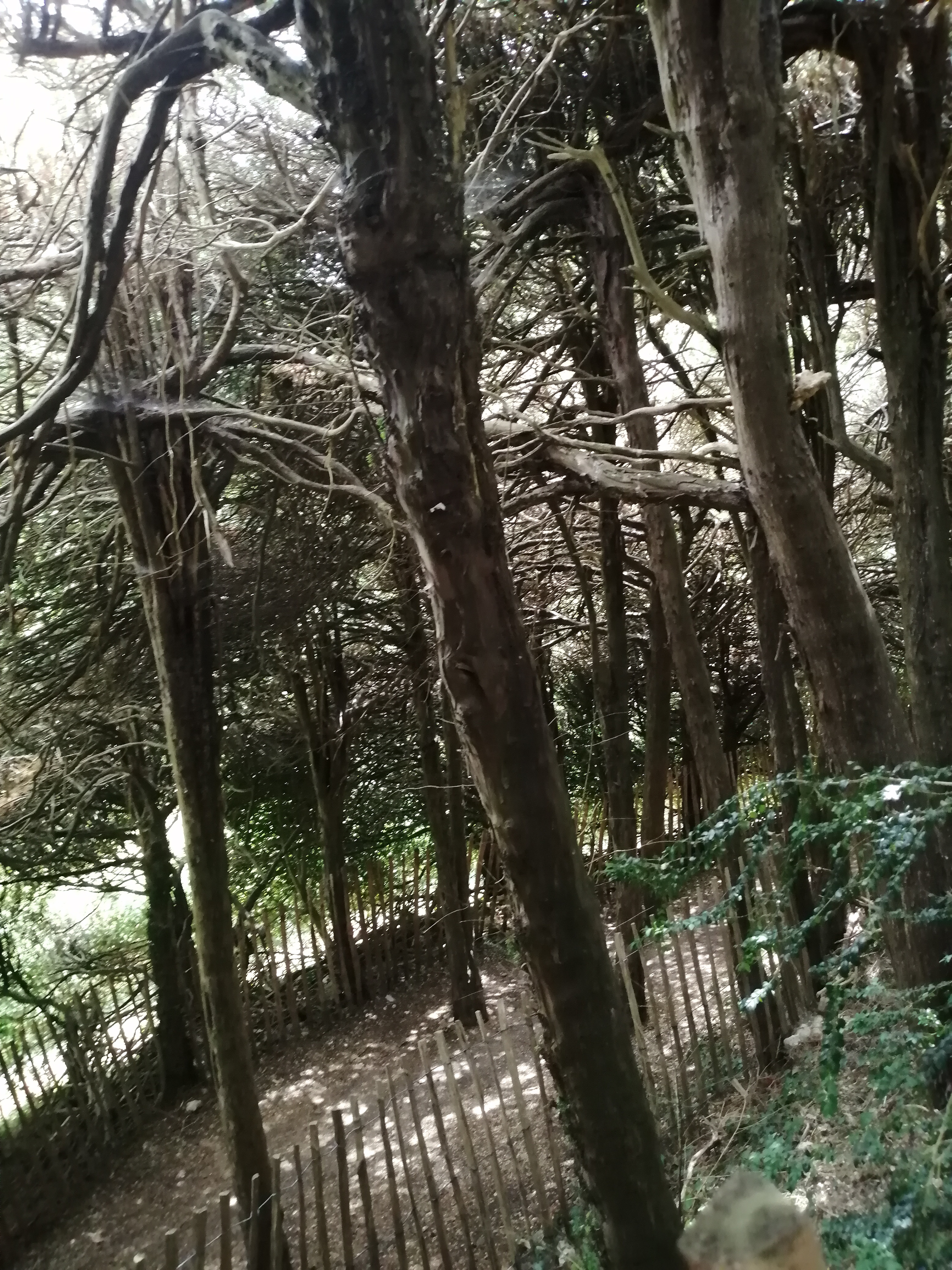 Photo n° 14 de l'avis de Virginie.e fait le 31/07/2022 à 13:13