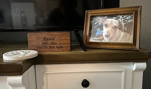 Heavenly Pet Cremations