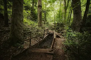 Barefoot Hiking Trail Zellweierbach image