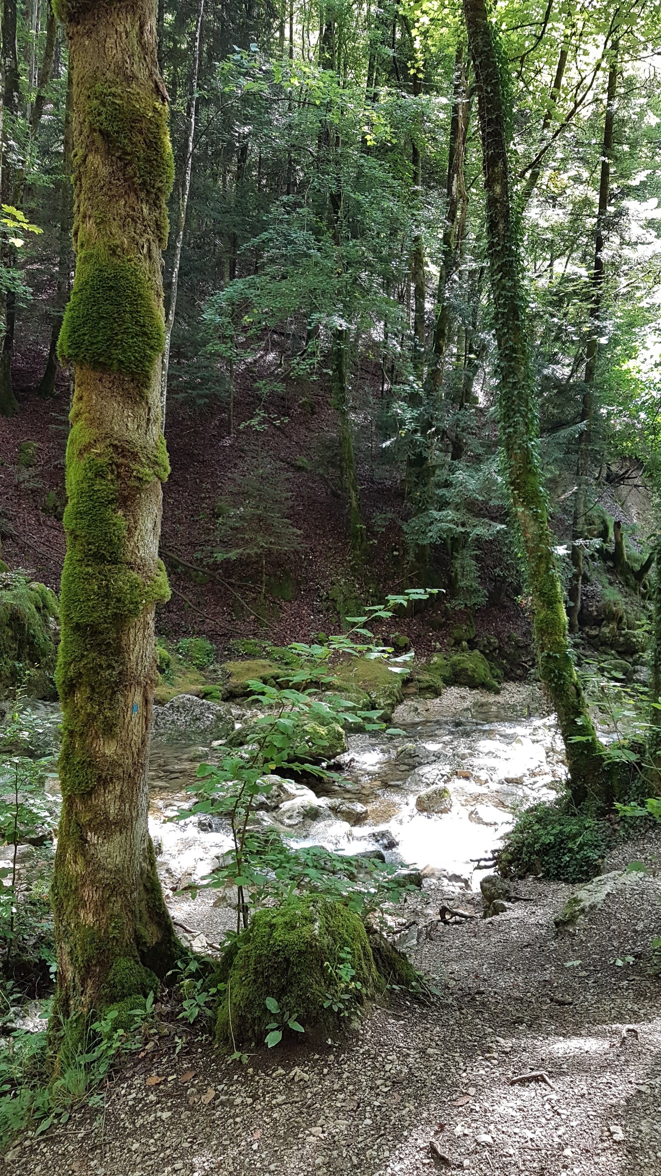 Photo n° 8 de l'avis de Yves-Marie.a fait le 13/09/2018 à 12:23
