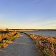 Mud Bay Park