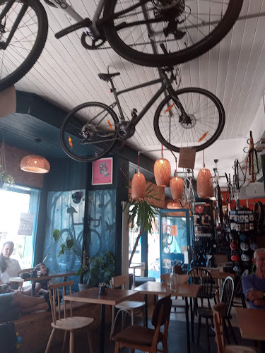 Velo Domestique - Bicycle store