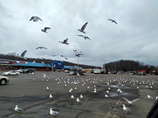 Shopping Mall «Sussex County Mall», reviews and photos, 15 Hampton House Rd, Newton, NJ 07860, USA