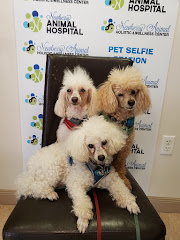 Newberry Animal Hospital 39th Ave.