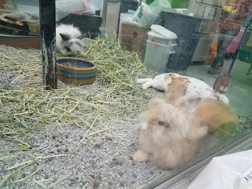 Pet Store «Coral Reef Pet Center», reviews and photos, 7723 W Lawrence Ave, Norridge, IL 60706, USA