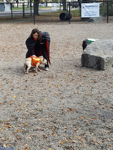 Dog Park «South Boston Bark Park», reviews and photos, 1280 Columbia Rd, Boston, MA 02127, USA
