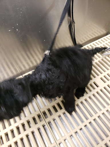 Pet Supply Store «Pet Supplies Plus», reviews and photos, 521 Noble Creek Dr, Noblesville, IN 46060, USA