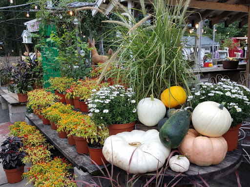 Grocery Store «Red Top Farm Market», reviews and photos, 1801 NJ-70, Southampton Township, NJ 08088, USA