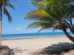 Cow Bay Beach'in fotoğrafı vahşi alan