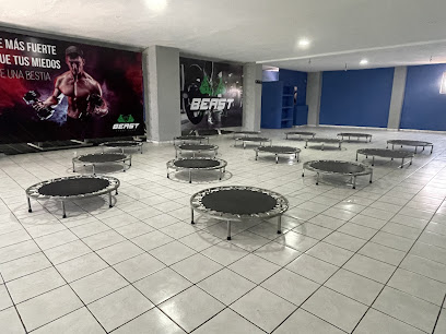 BEAST Sport Gym - 80028, Boulevard. Salvador Alvarado 2613, Los Sauces, 80028 Culiacán Rosales, Sin., Mexico