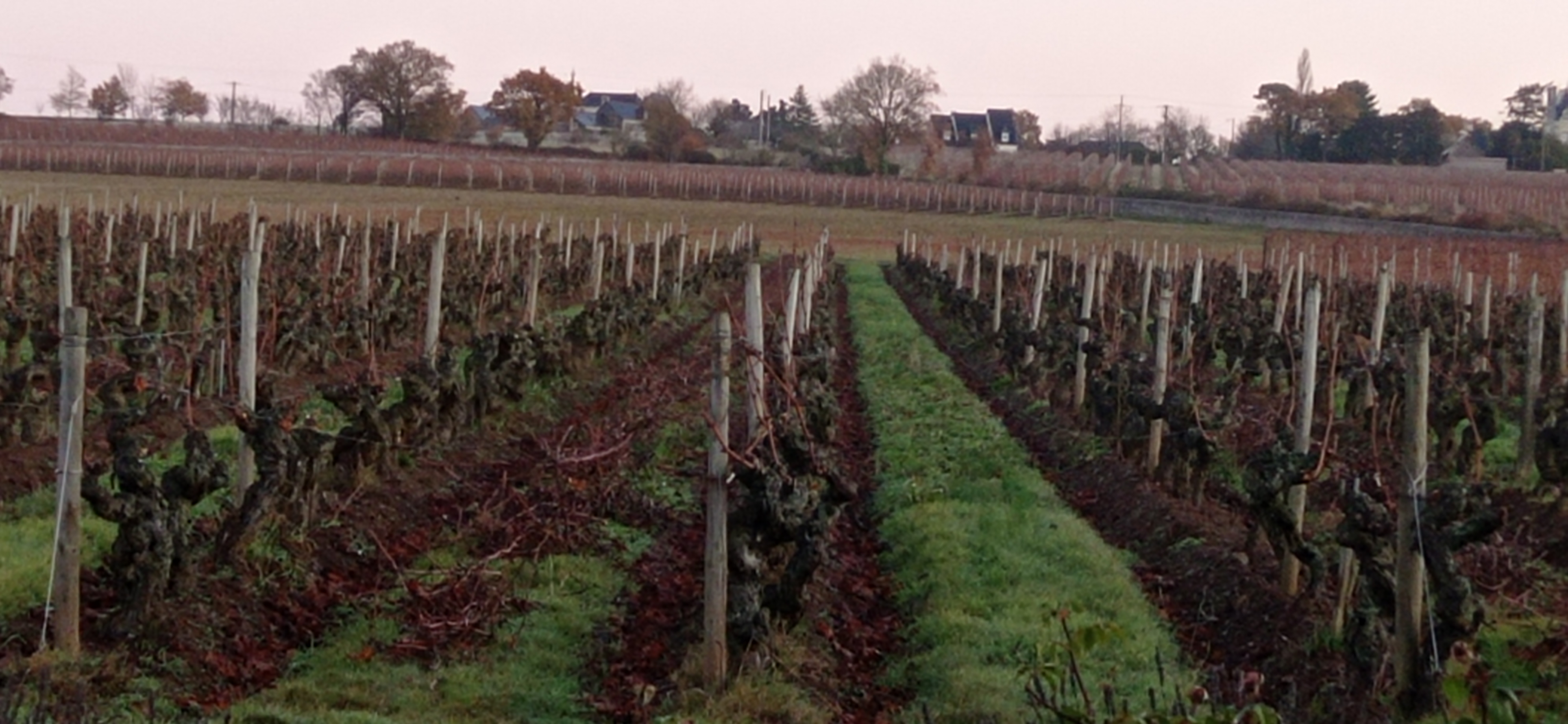 Photo n° 7 de l'avis de Eric.. fait le 07/12/2021 à 08:17
