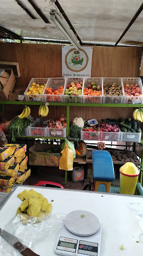 Opiniones de El 9029. verduras y frutas frescas en Cerro Navia - Frutería
