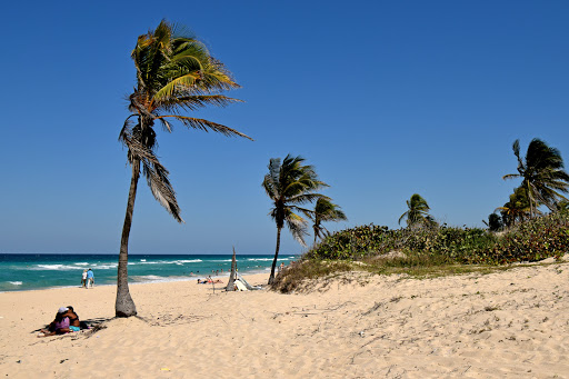 Camping in Havana