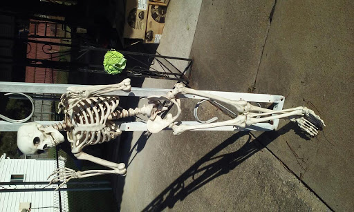 Department Store «Target», reviews and photos, 4200 Portsmouth Blvd STE 600, Chesapeake, VA 23321, USA