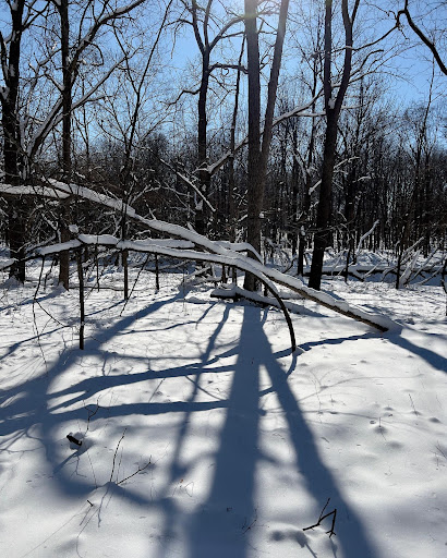 Park «Hickory Creek Preserve - LaPorte Road Access», reviews and photos, 10537 W La Porte Rd, Mokena, IL 60448, USA