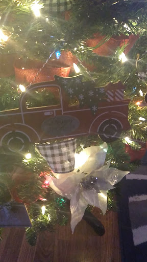 Discount Store «Dollar General», reviews and photos, 860 E Main St, Florence, CO 81226, USA