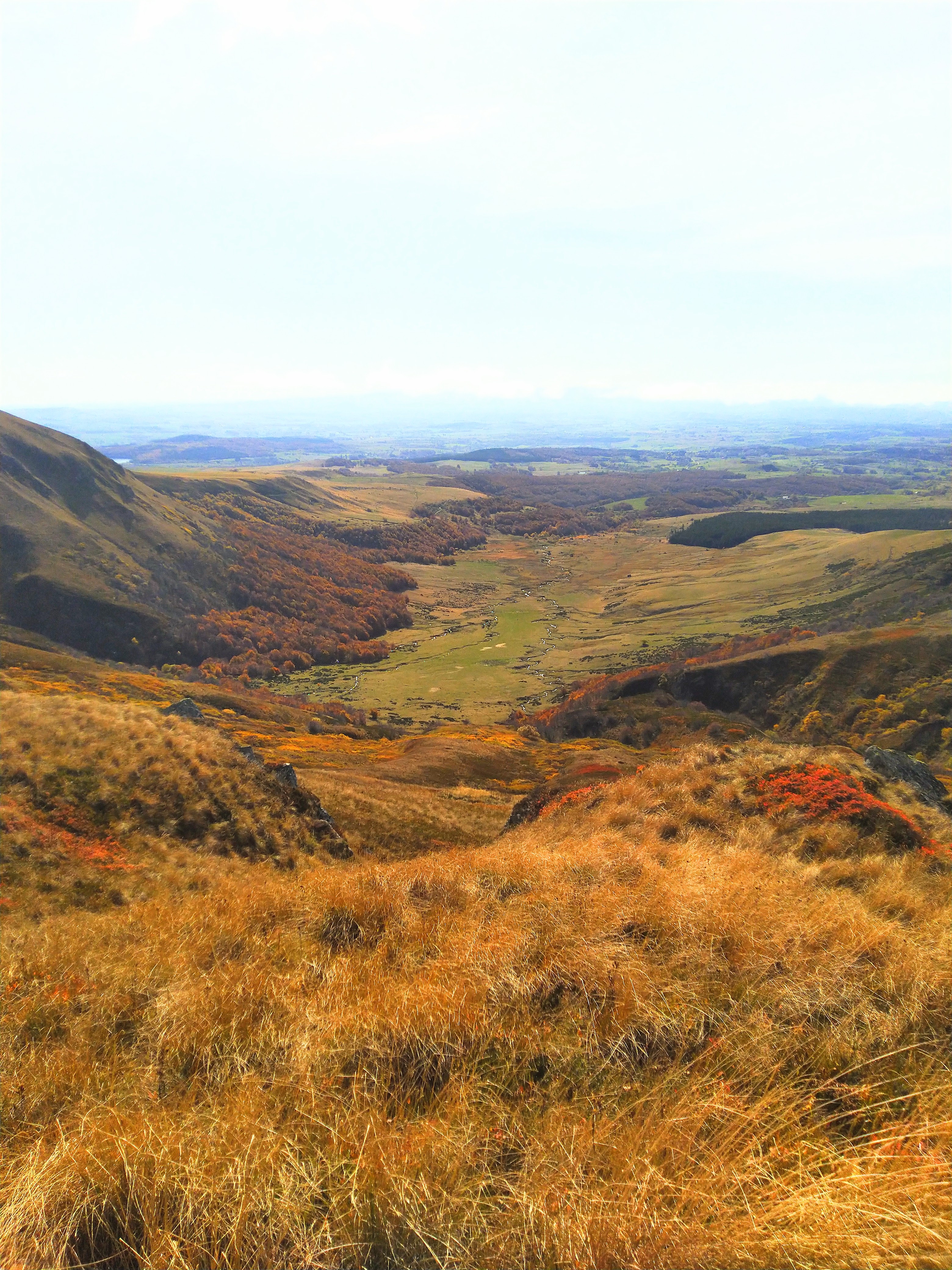 Photo n° 12 de l'avis de Cyril.o fait le 26/10/2019 à 13:24
