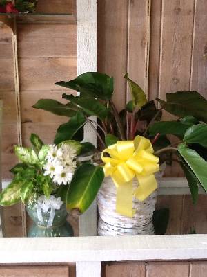 Florist «Driftwood Florist», reviews and photos, 711 W Indiantown Rd, Jupiter, FL 33458, USA