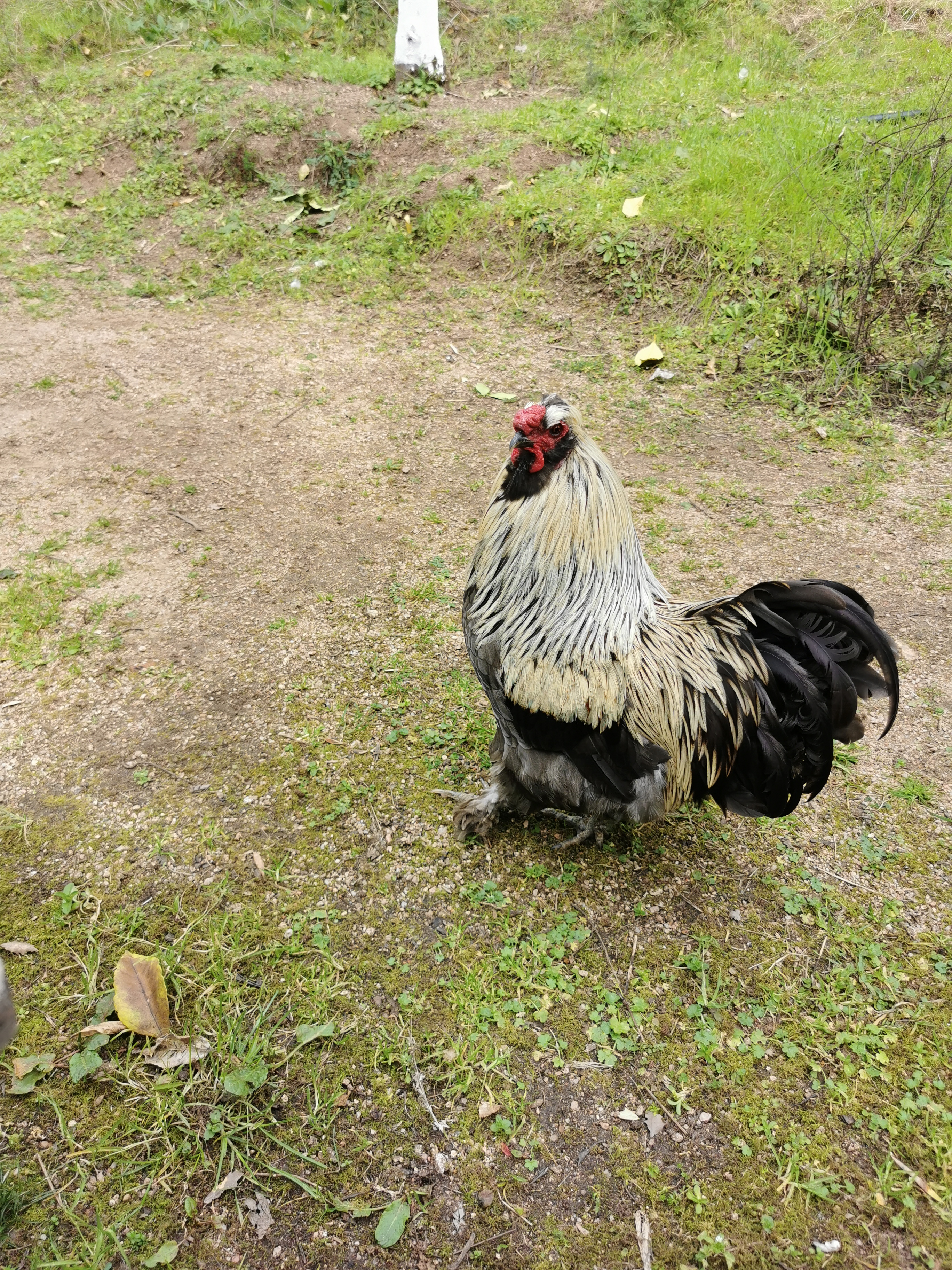 Photo n° 1 de l'avis de la.i fait le 16/03/2022 à 15:38