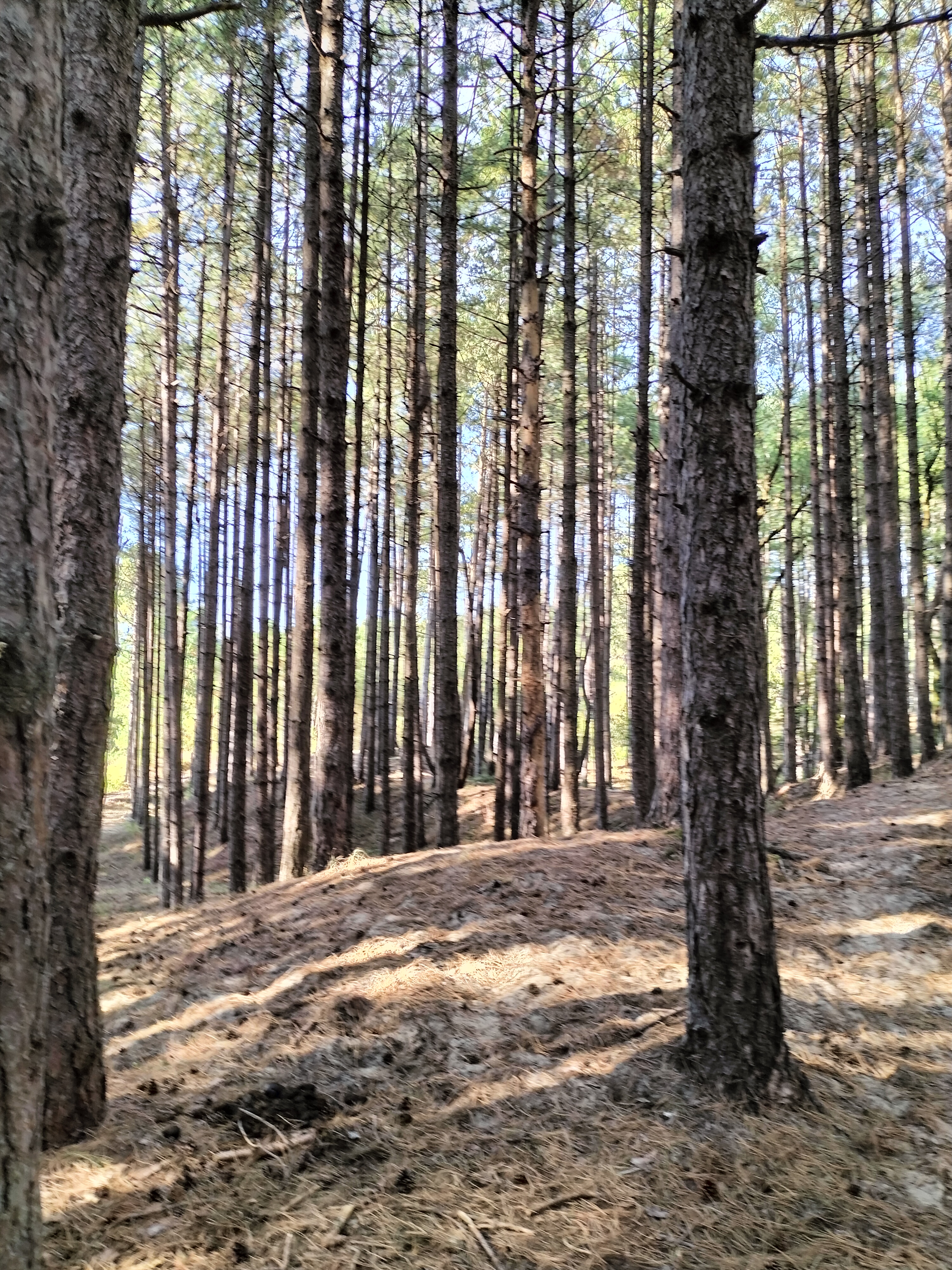 Photo n° 10 de l'avis de Magalie.u fait le 30/07/2022 à 06:08