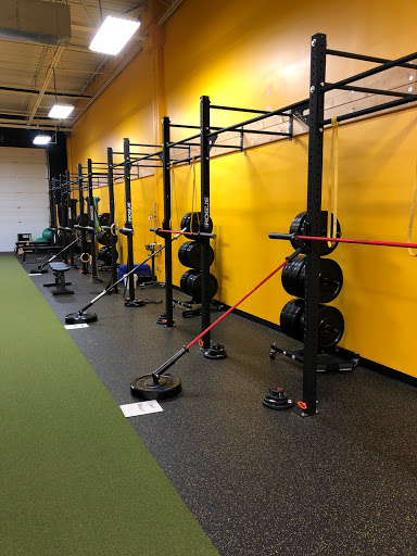 Thrive Performance and Fitness Center - AZexplained