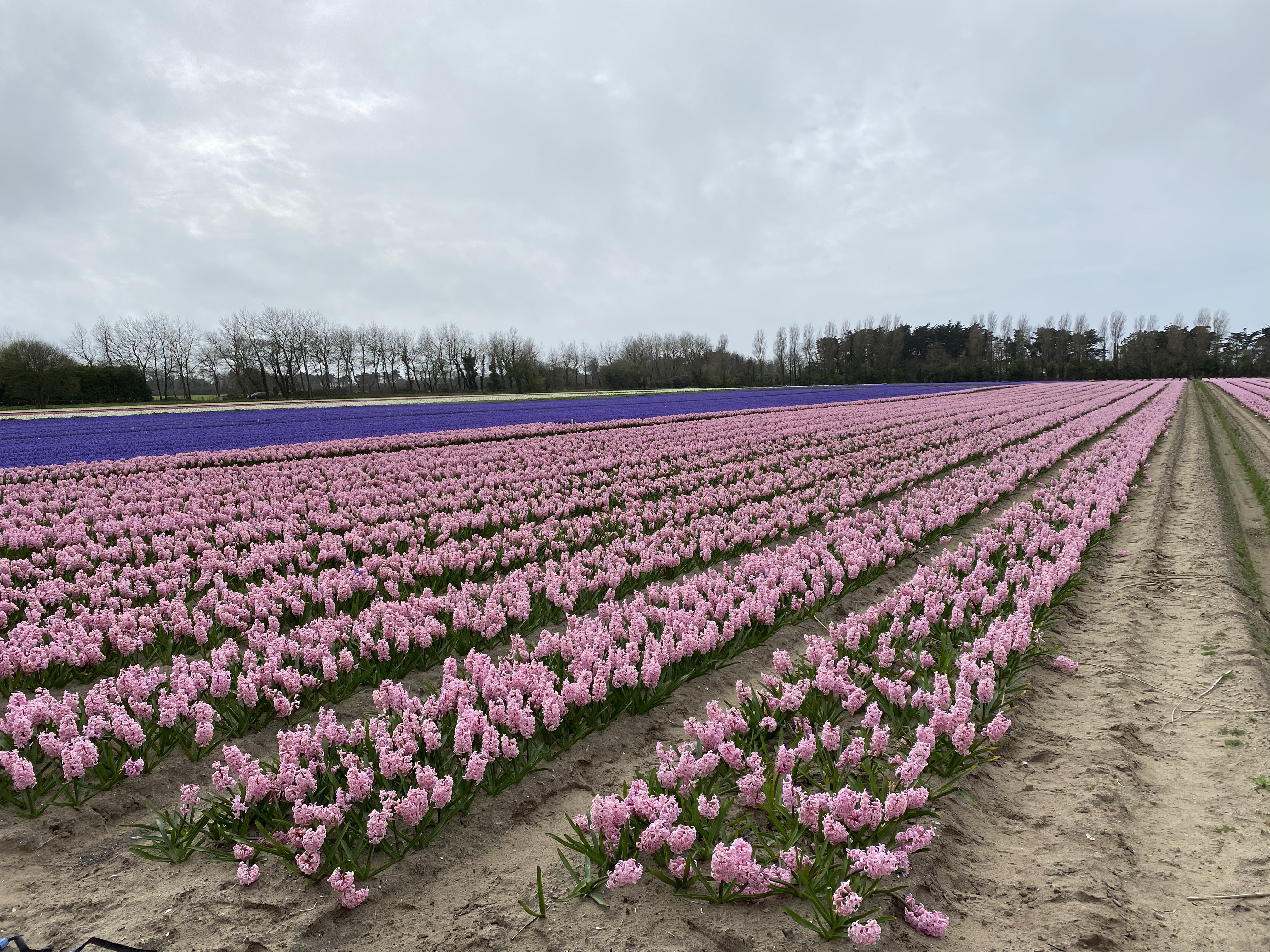 Photo n° 4 de l'avis de Alex.u fait le 22/03/2023 à 17:36