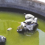 Photo n°14 de l'avis de Gaetano.a fait le 19/08/2021 à 18:54 sur le  Hotel Santa Chiara à Ricadi