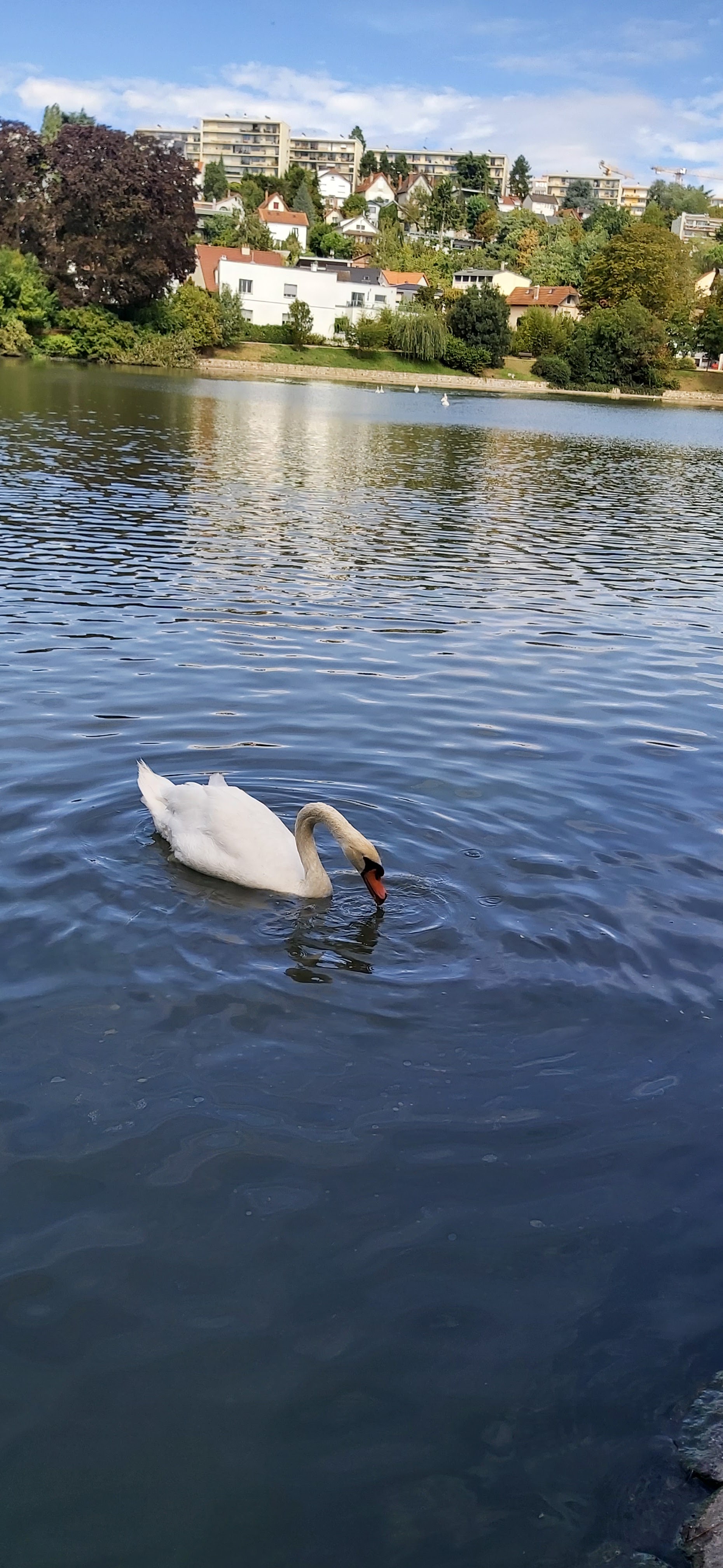 Photo n° 3 de l'avis de Sonia.I fait le 21/08/2020 à 12:20
