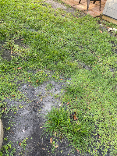 Pest Control Service «Reynolds Pest Management, Inc.», reviews and photos