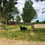 Photo n°15 de l'avis de handsfly.a fait le 18/05/2021 à 16:57 sur le  I laghetti del Boschetto à Boschetto