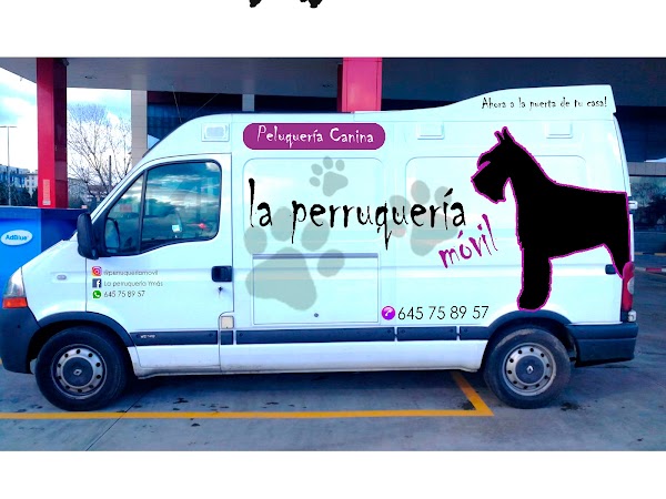 Peluqueria canina la perruqueria movil