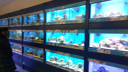 Pet Supply Store «Petco Animal Supplies», reviews and photos, 438 Southbridge St, Auburn, MA 01501, USA